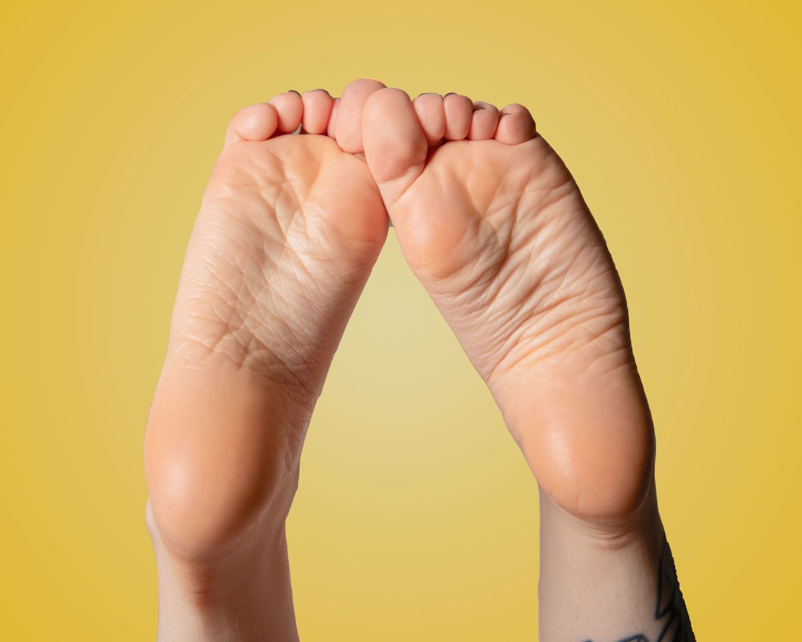 Evie &amp; Wren's avatar