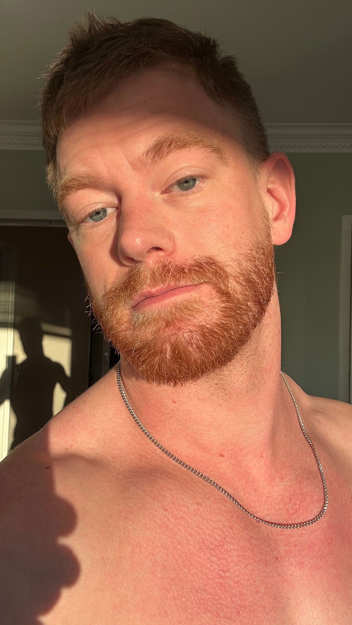 gingerbeard