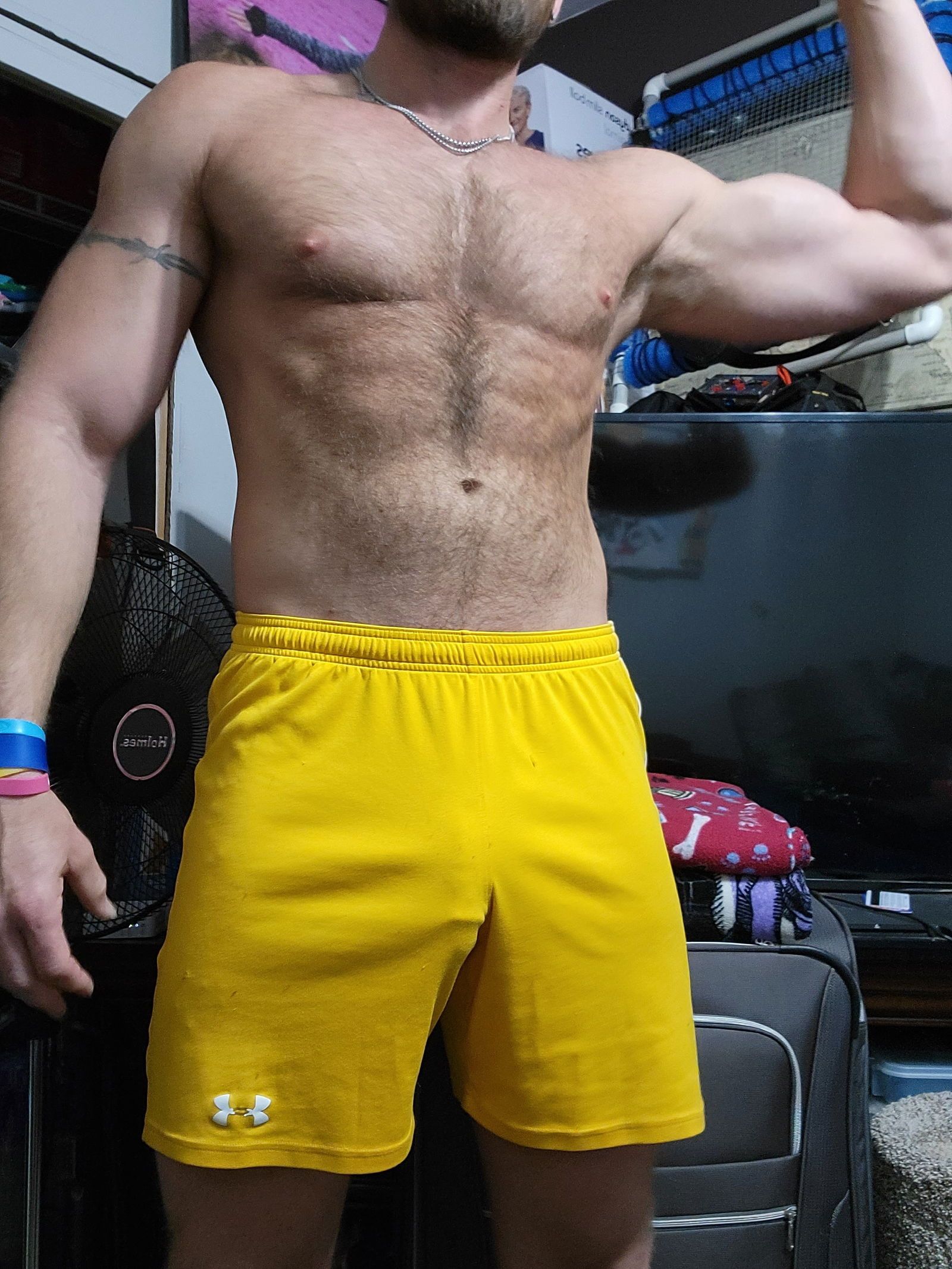 Incredibod1's avatar