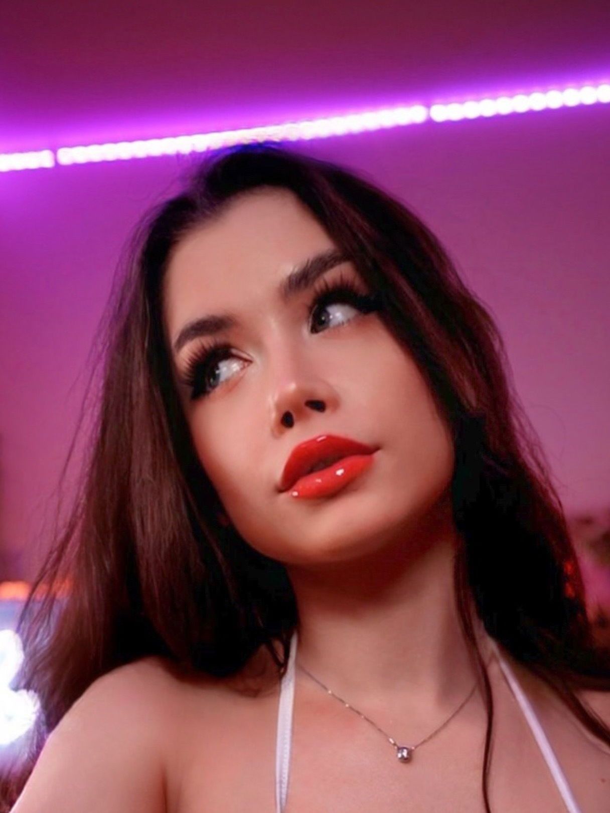 Laurel Jeune 🍅's avatar