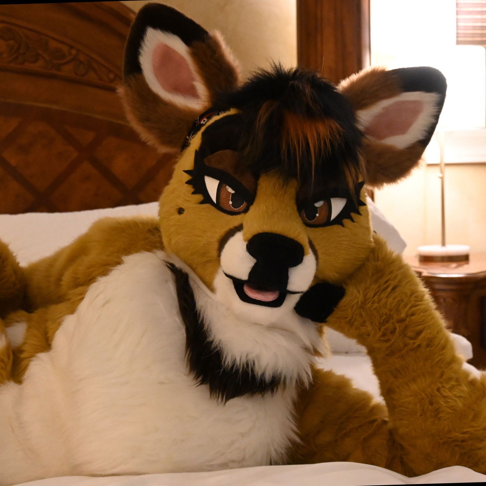 Lotus LaFawn 🍑💨's avatar