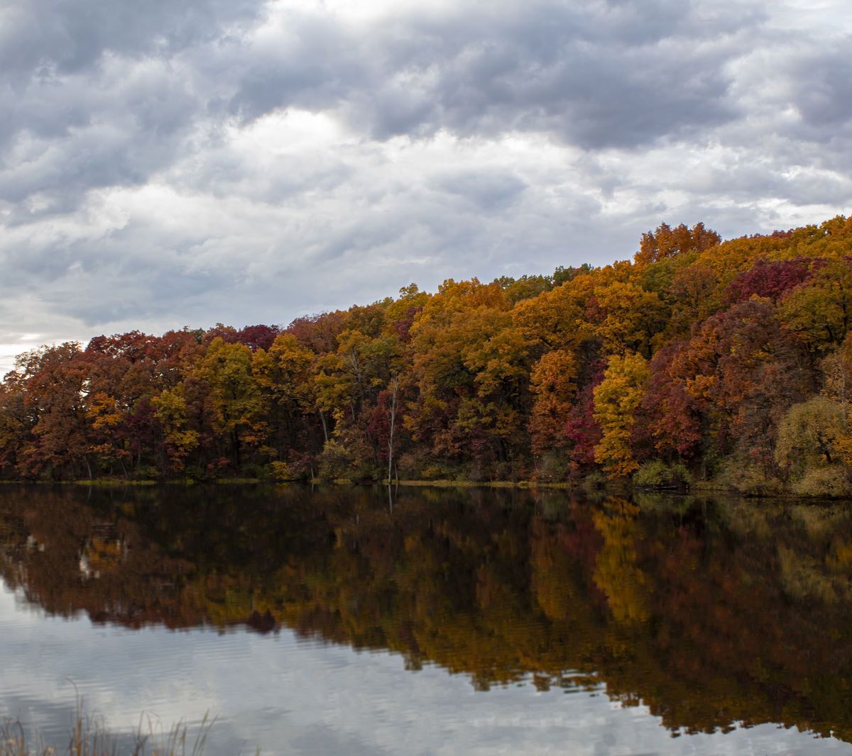 akiiinkygoddess banner