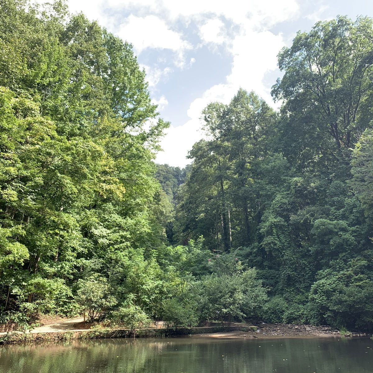 allnaturalmom banner