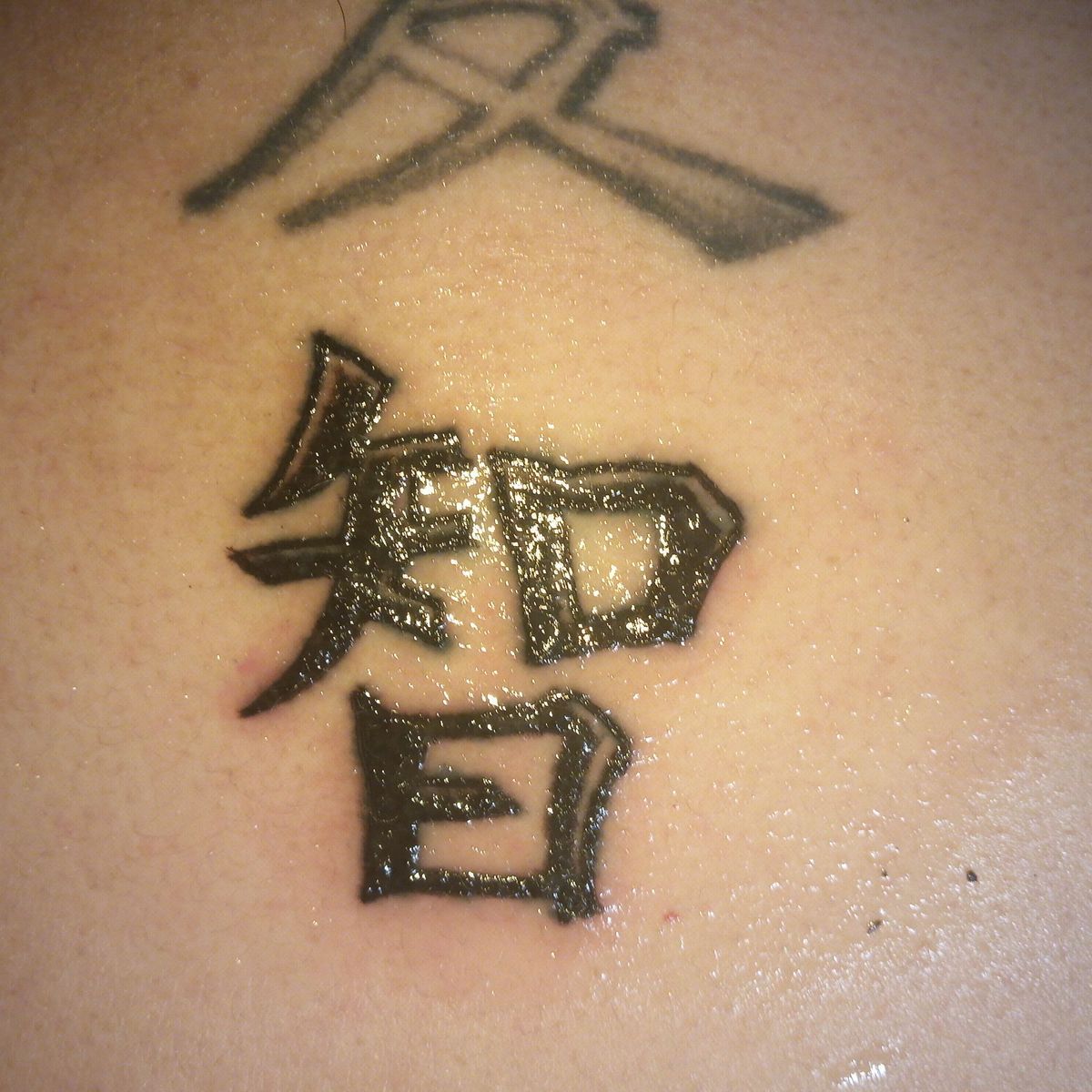 babygril202083 banner