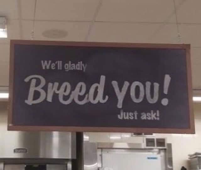 baphometsbabygirl banner