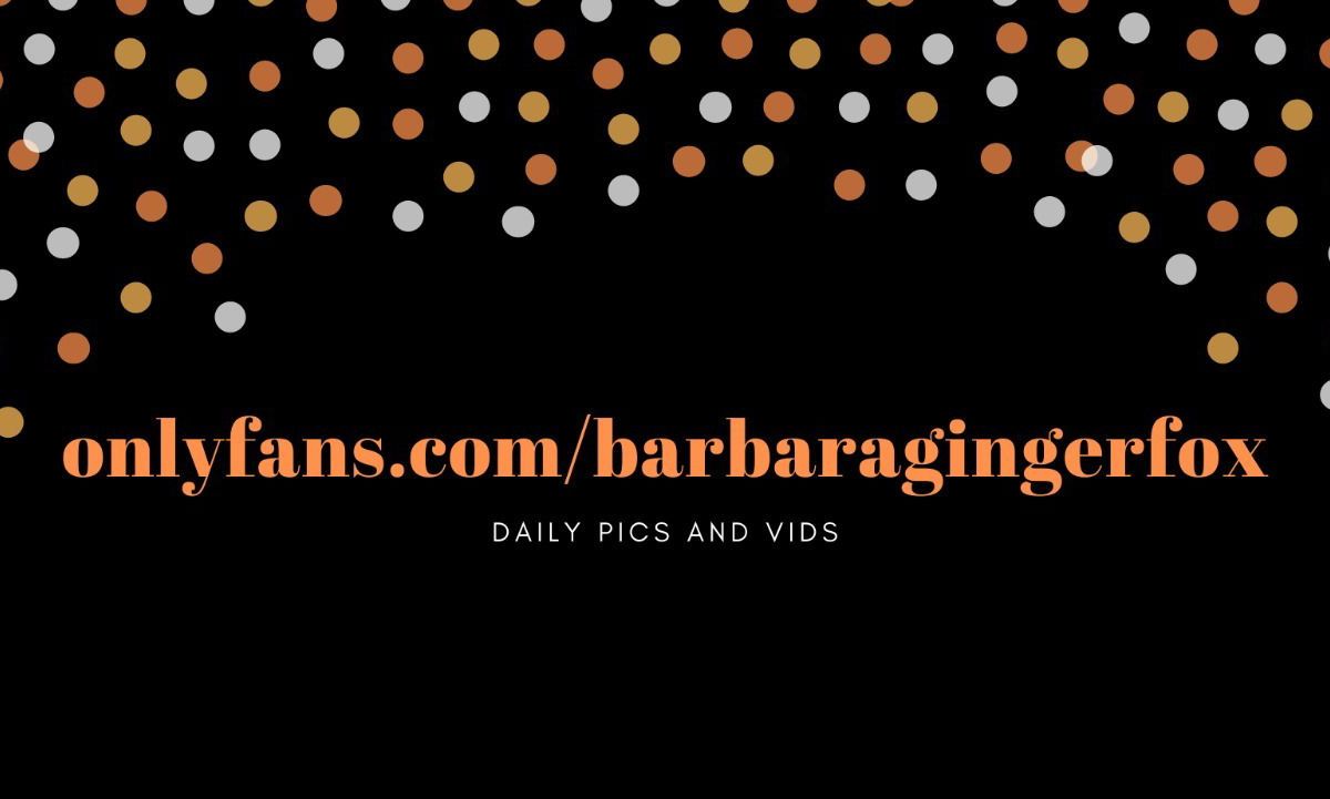 barbaragingerbrazil banner