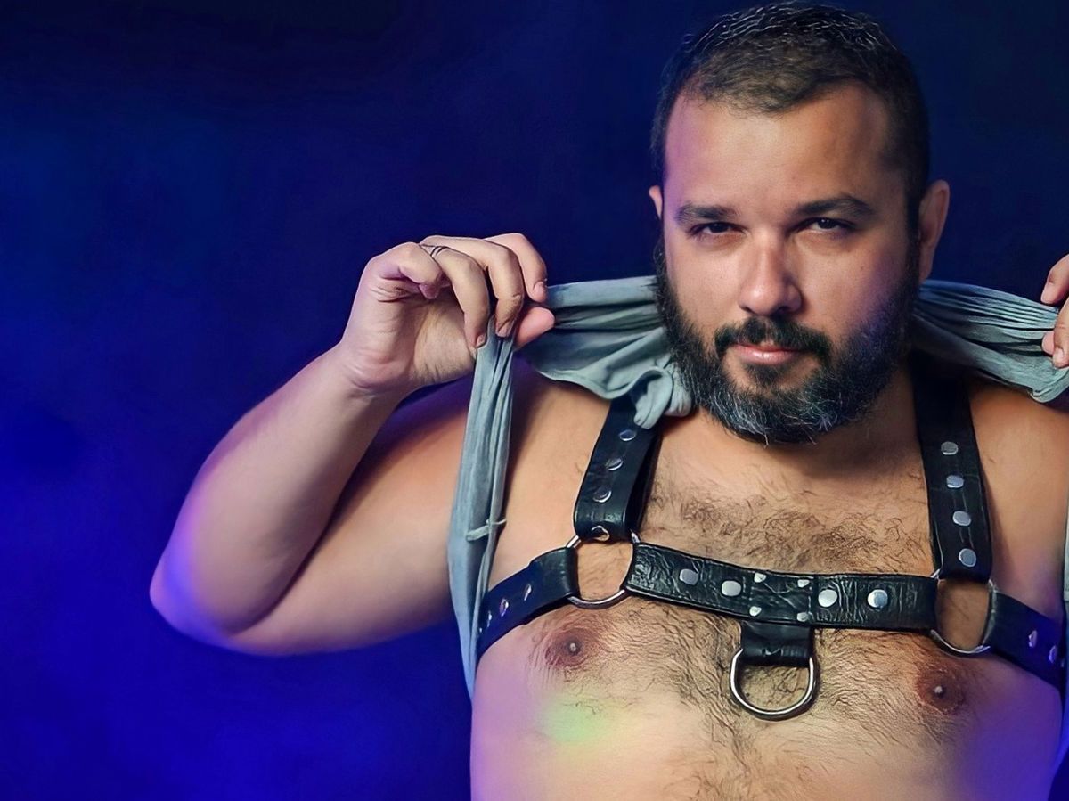 bearbrazilspain banner