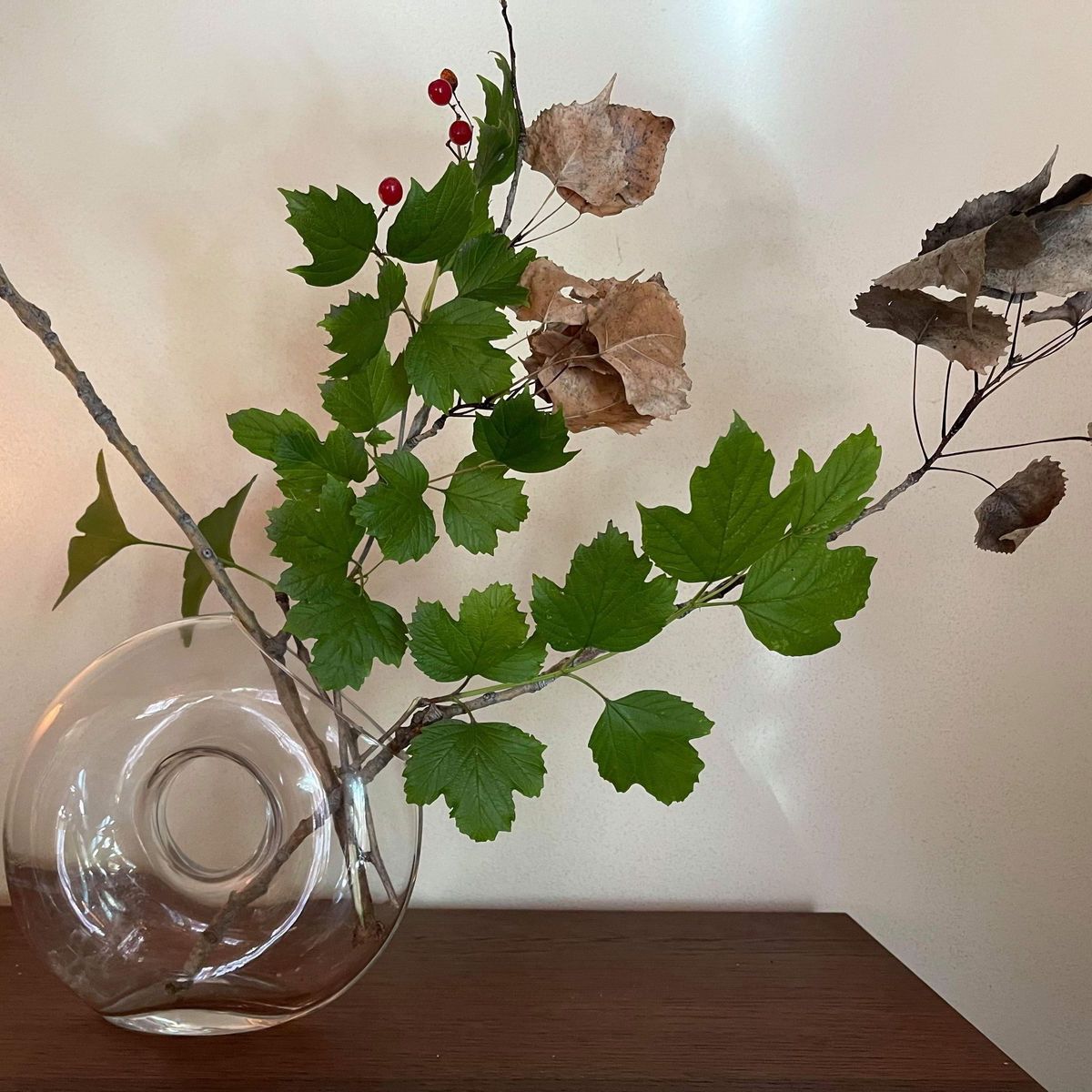 benjami72128042 banner