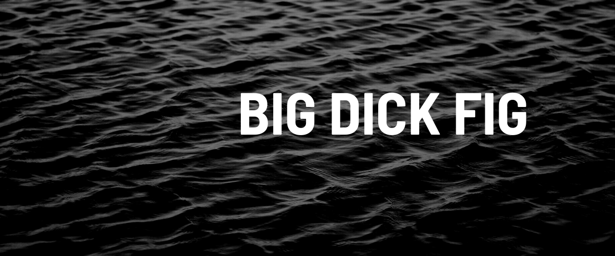 bigdickfig banner