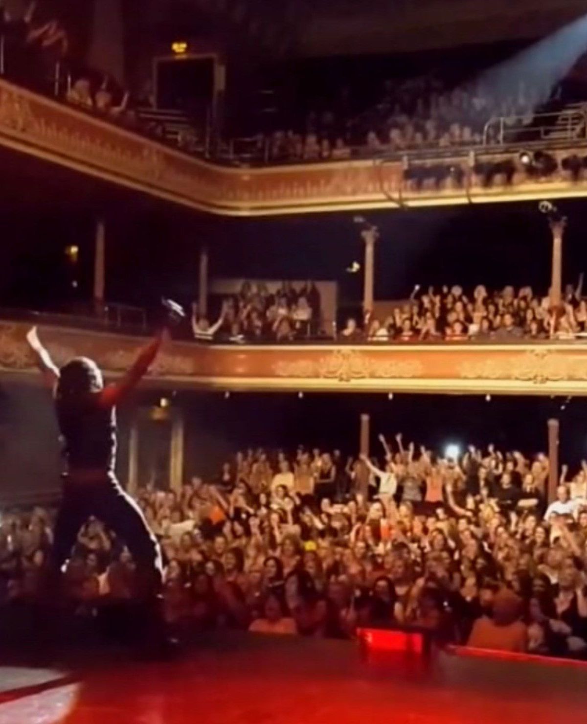 blackstallionfull banner