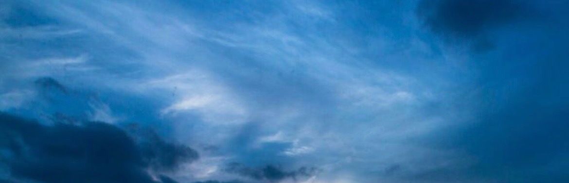 blondie_angelika banner