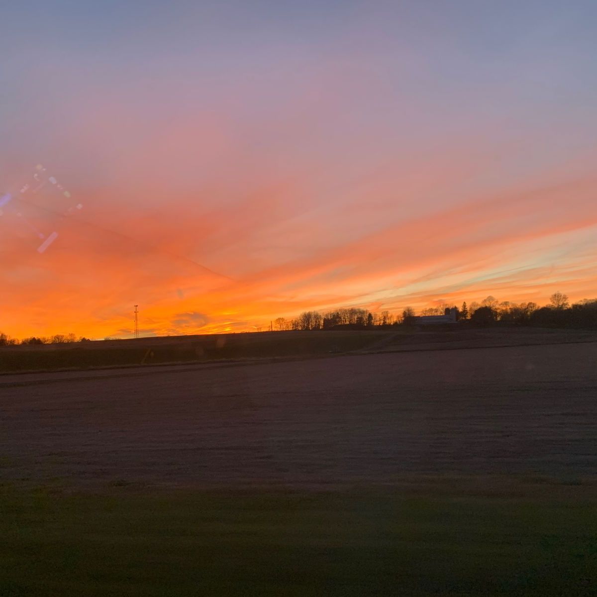 callmekitten1000 banner