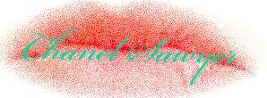 chanelsawyer banner
