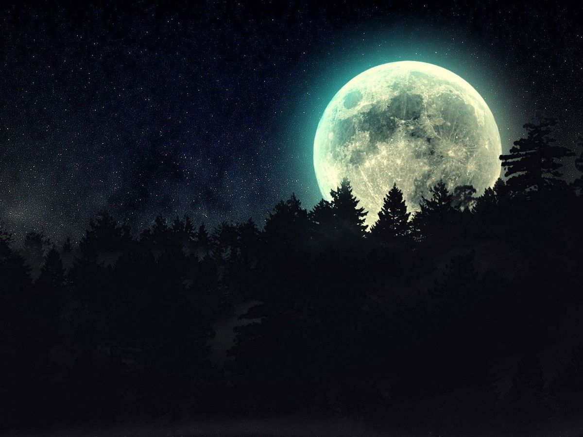 cherryxxbombxx banner