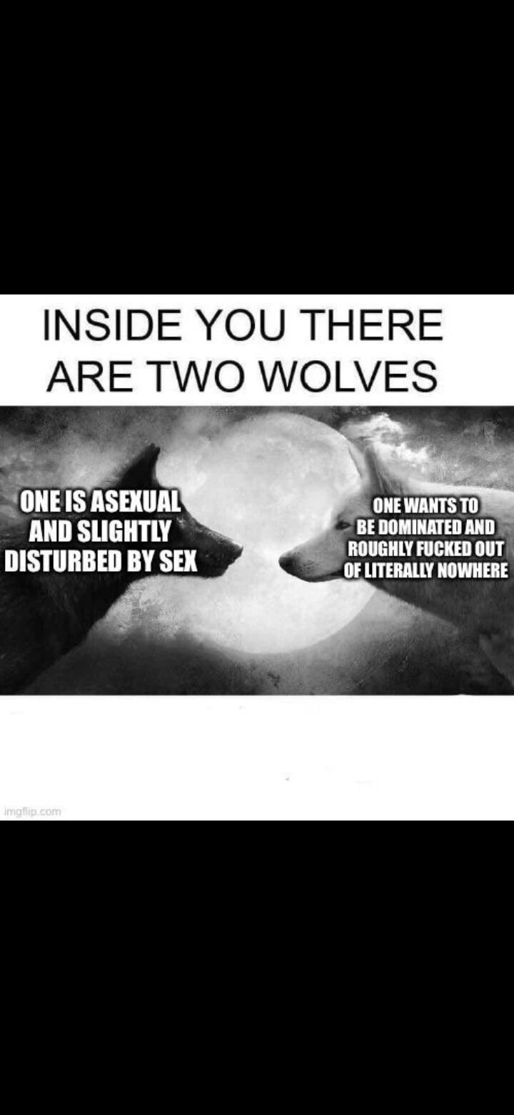 chibichewie_free banner