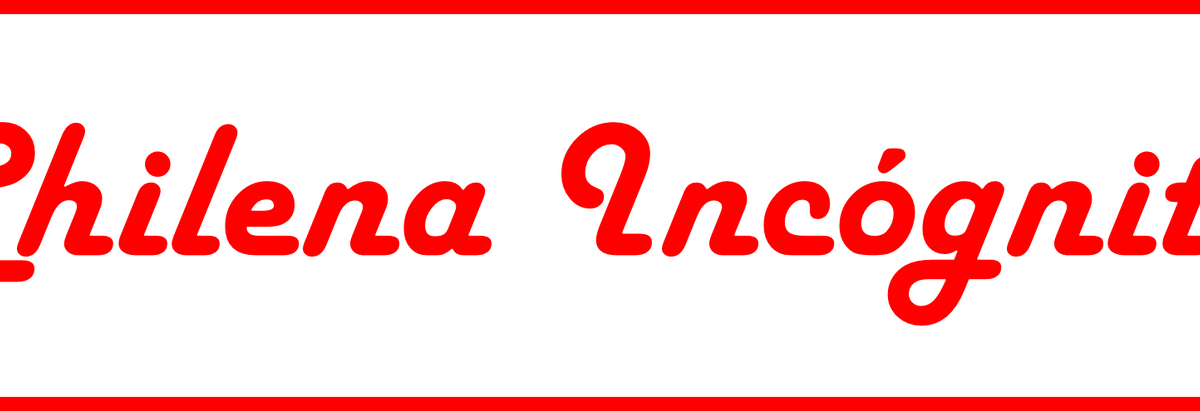 chilenaincognita banner