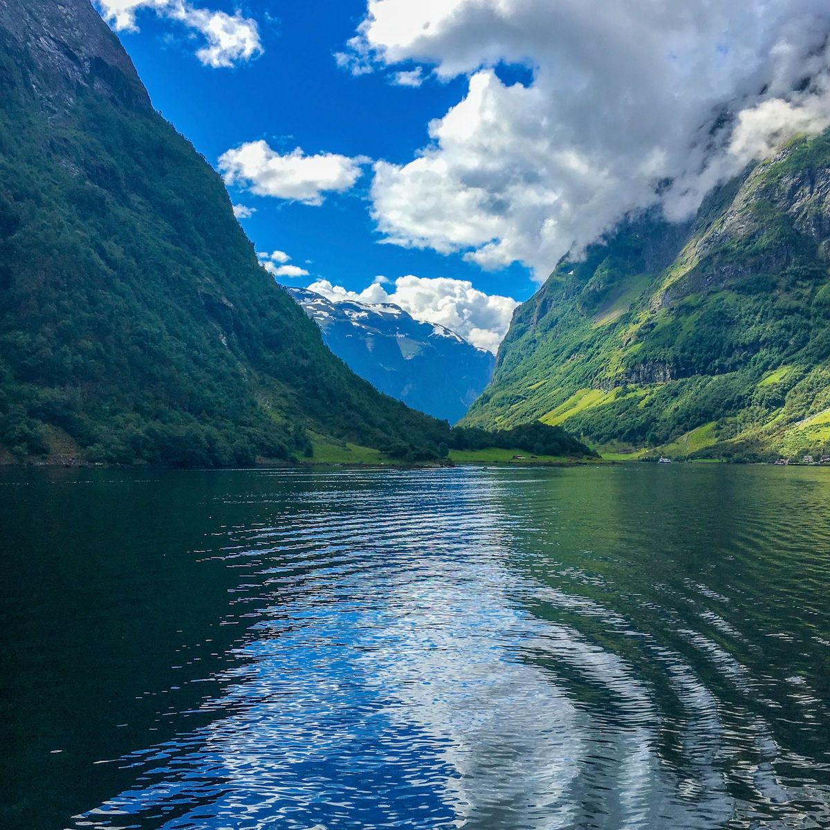 chlorinedreams banner