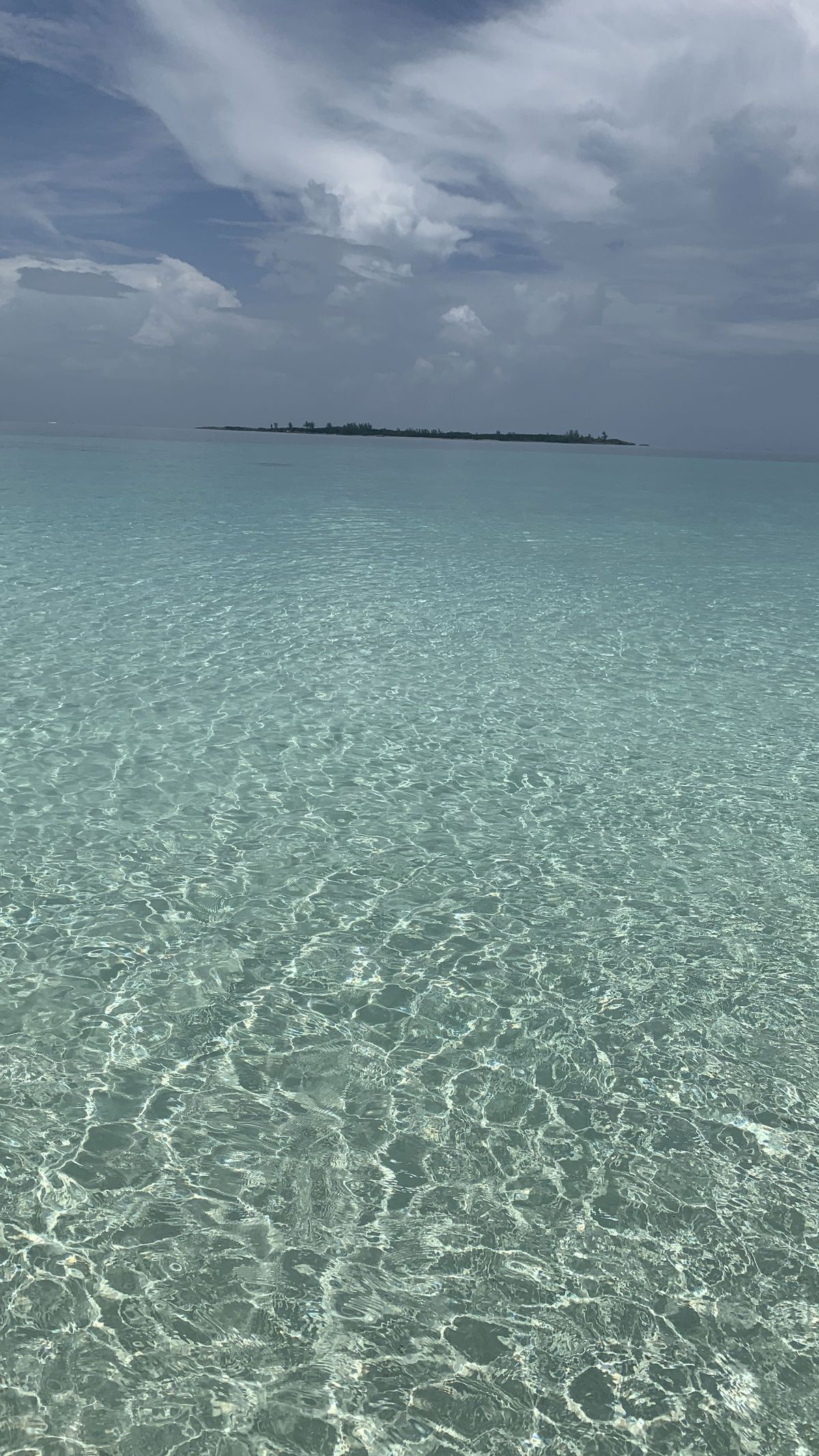 costaricanpapii banner