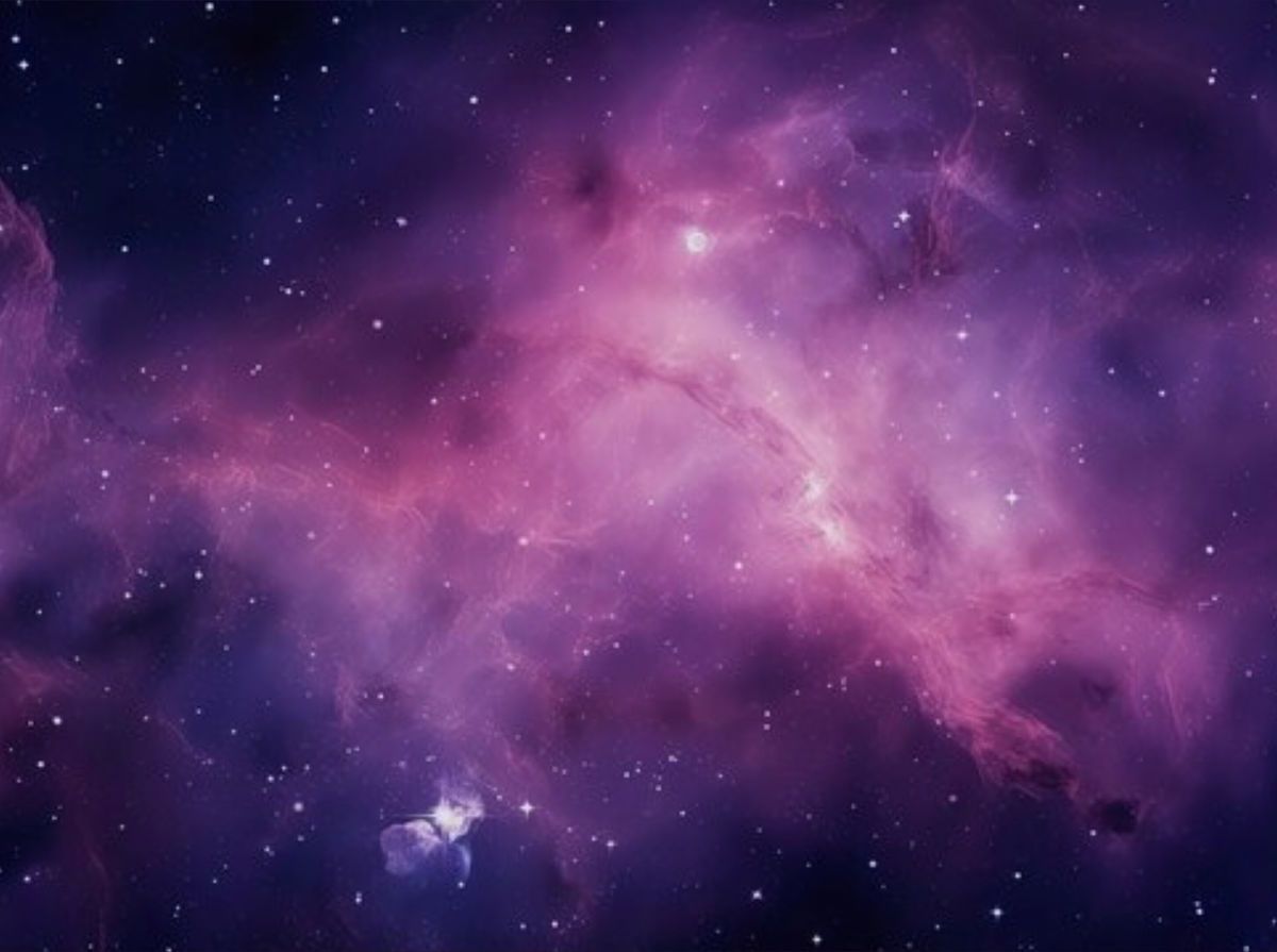 crueltyfreecurves banner