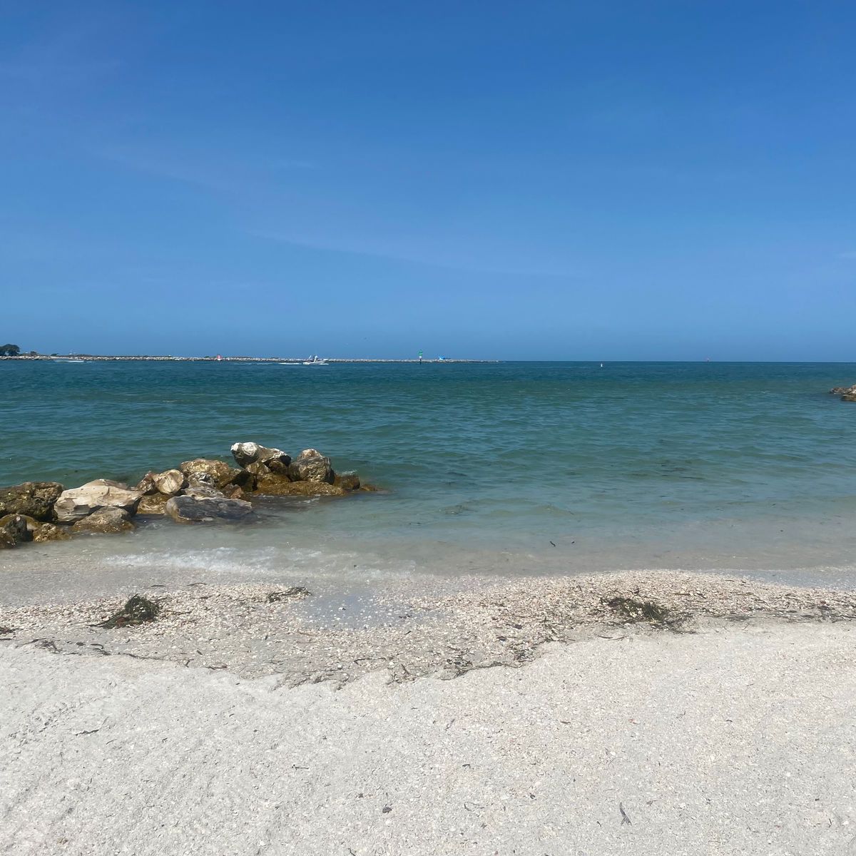 cuppycake2018 banner