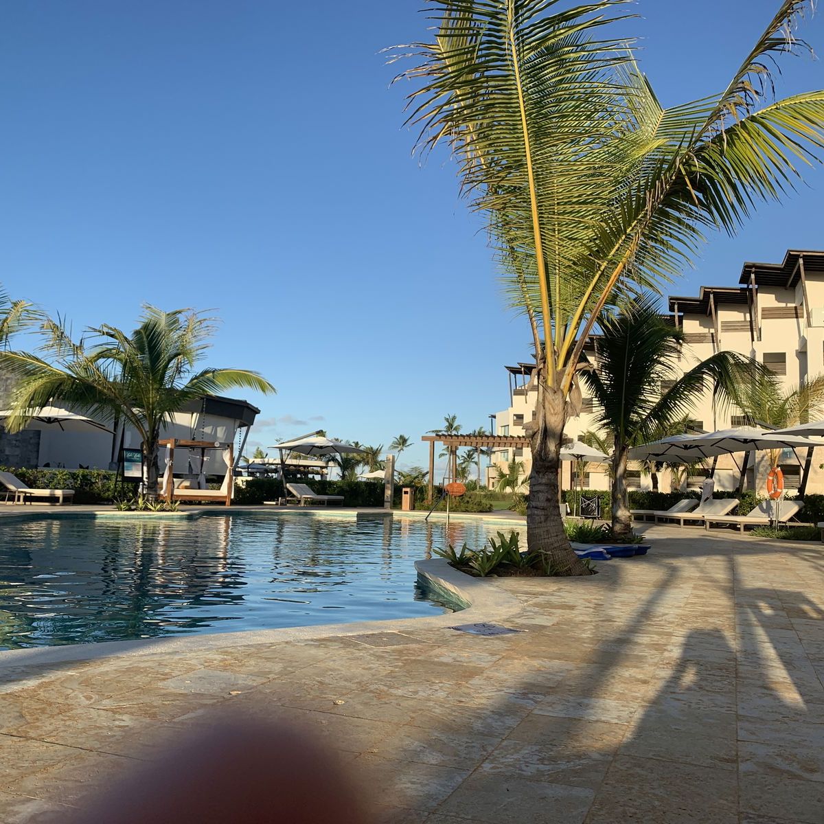 dakota-daniels banner