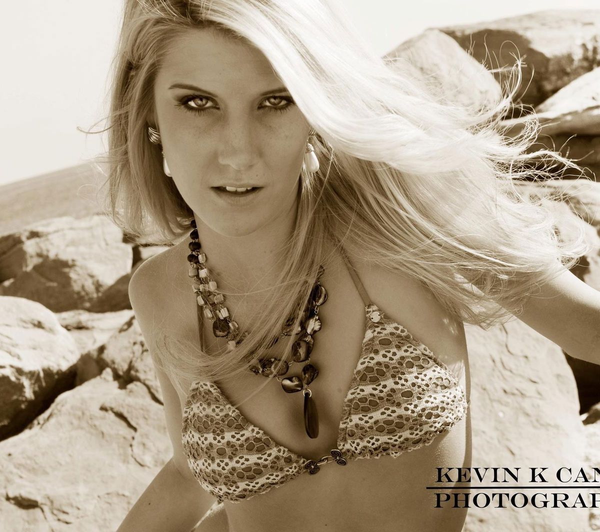 deannanaegele banner