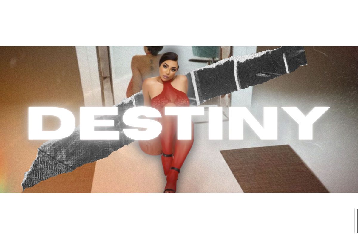 destinyskye banner