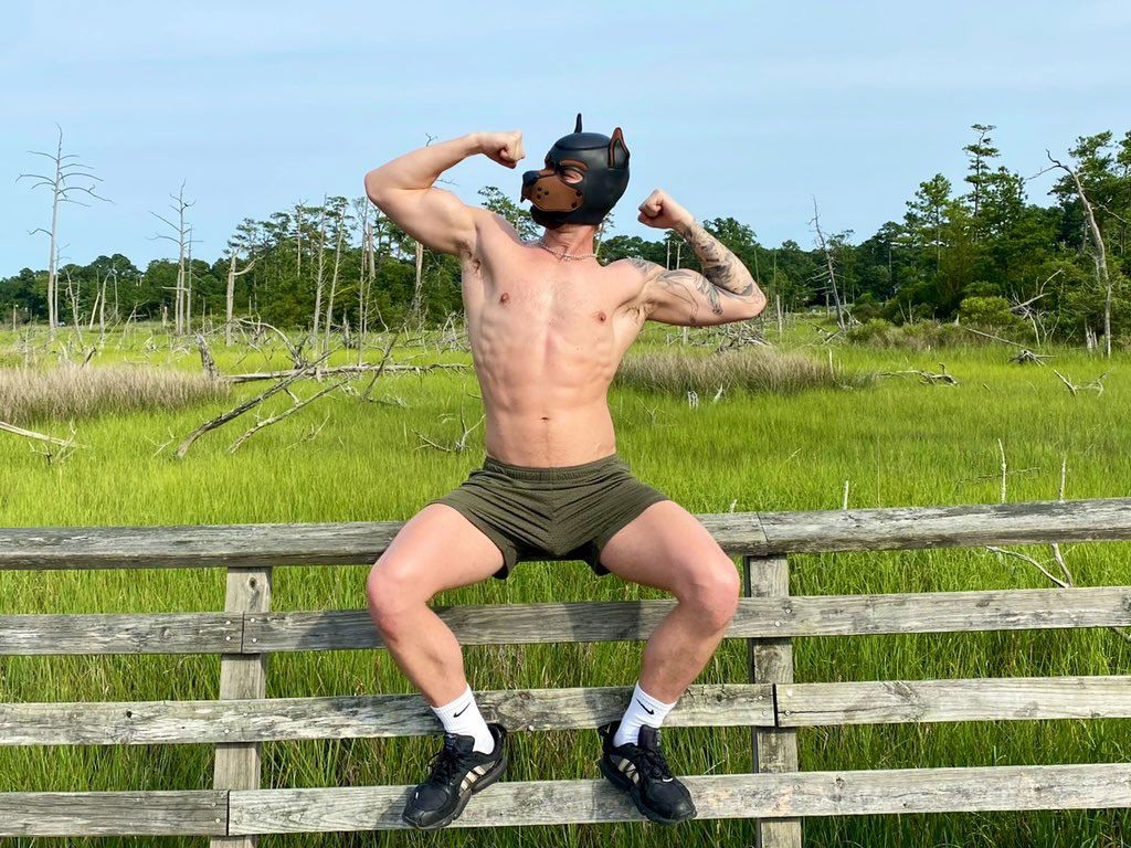 downwardfacingdoggo banner