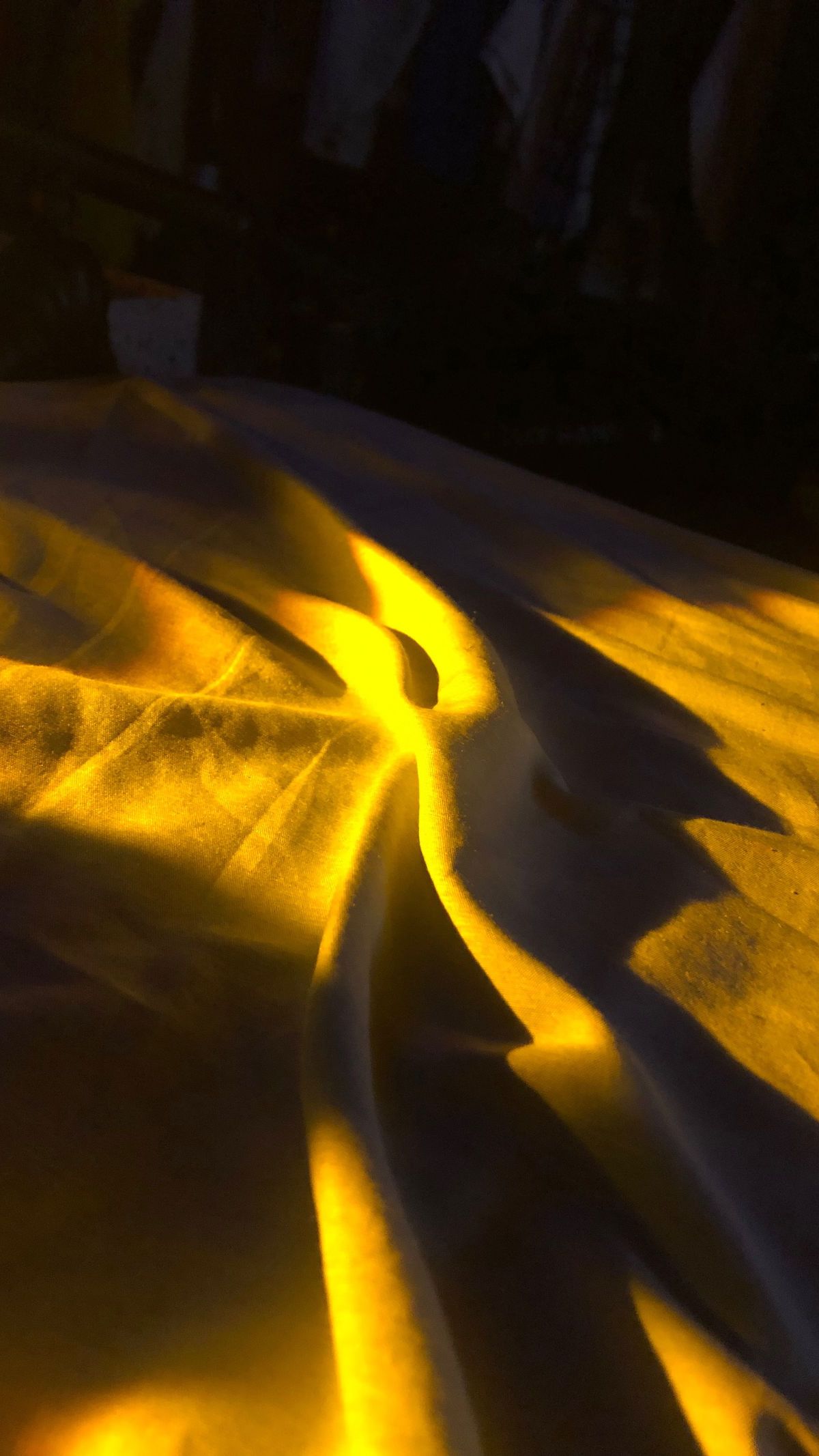 earthbbyceleste banner