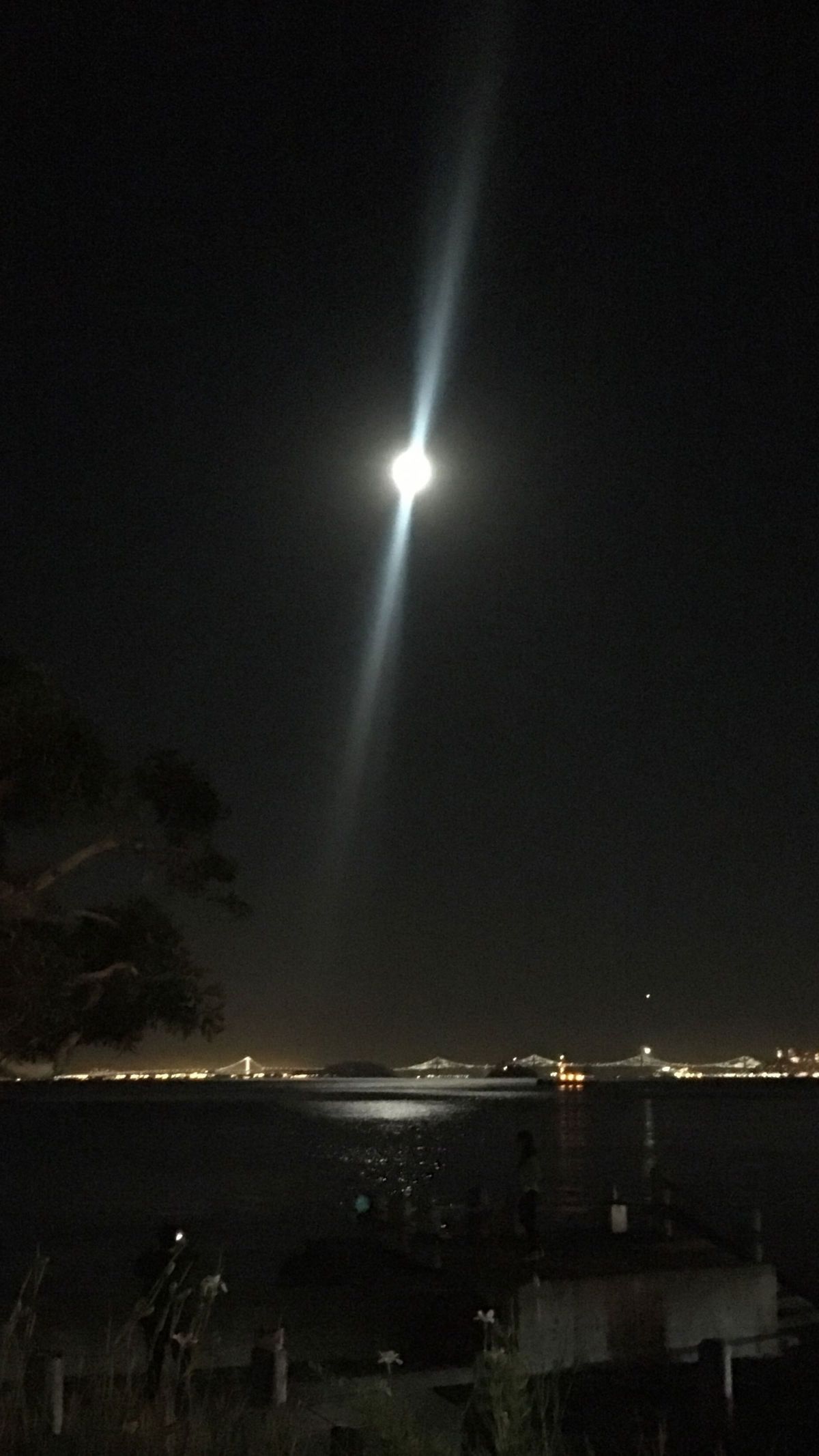 edgedmuscleboy banner