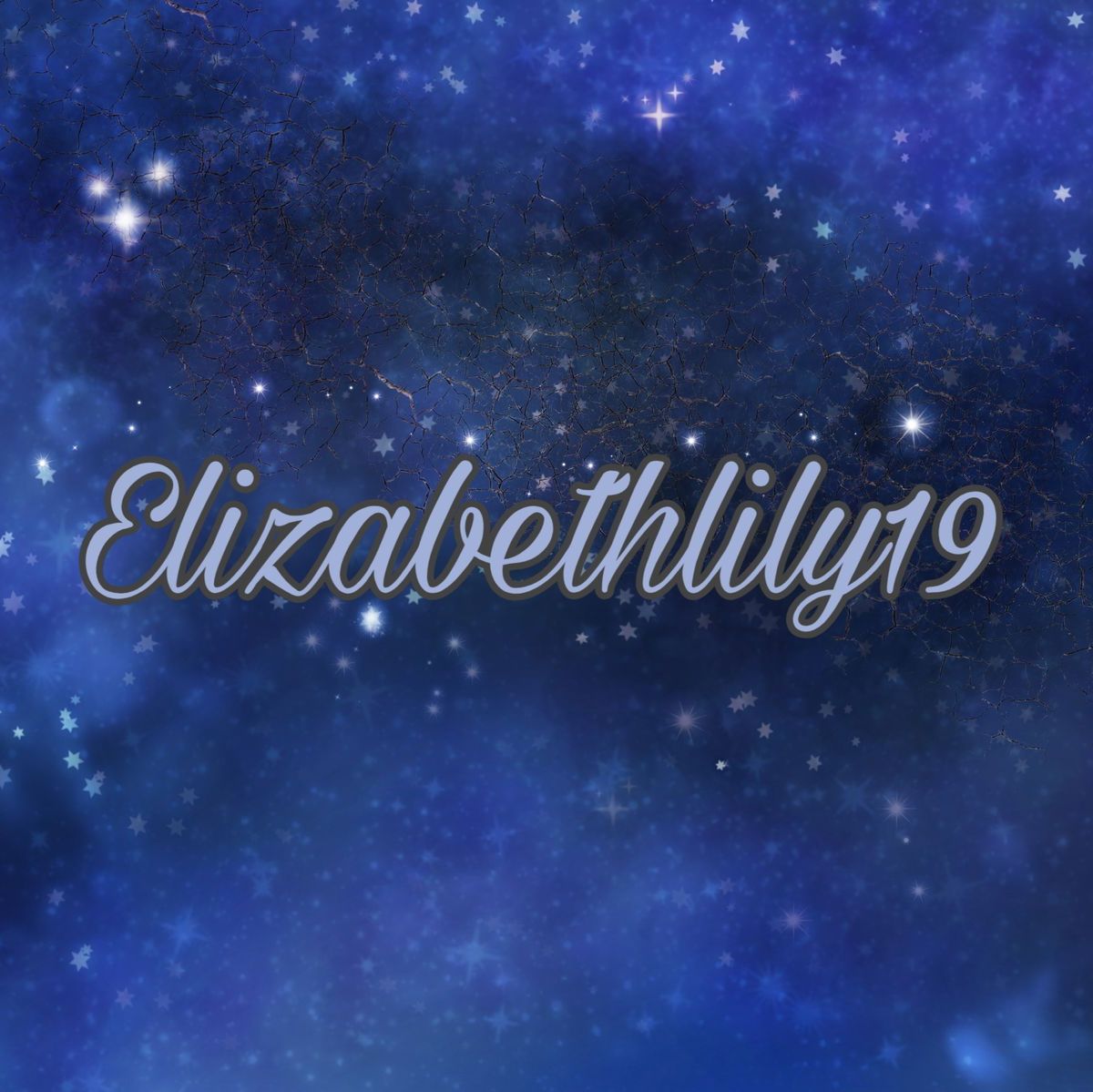 elizabethlily19 banner