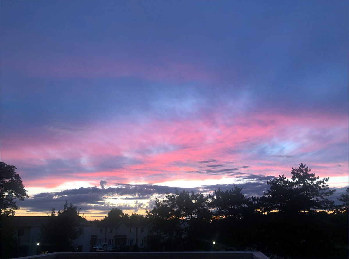 emhoneypotvip banner