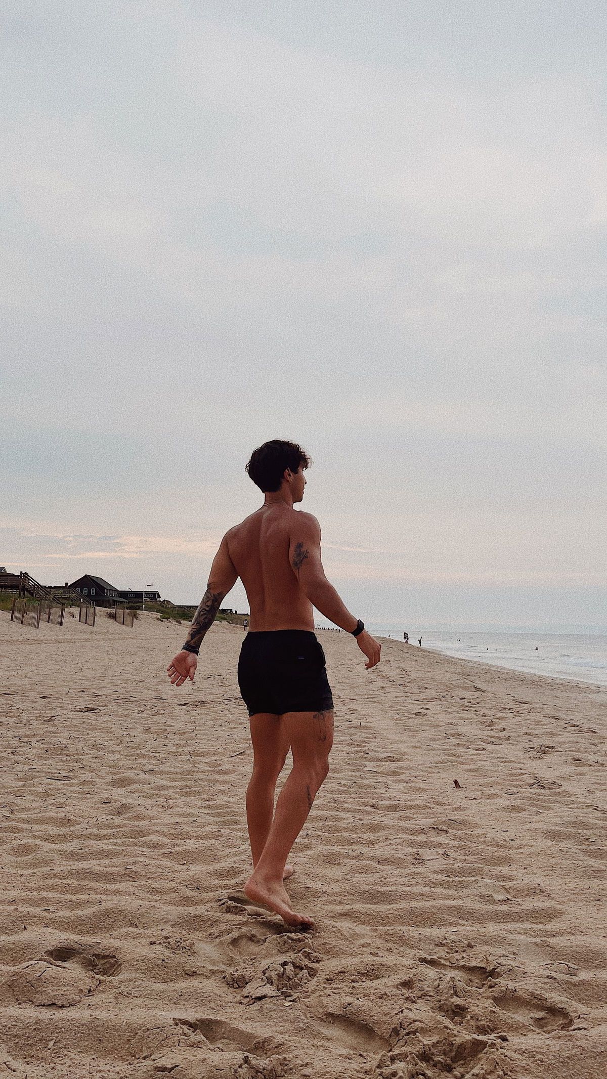 evanlamicella banner