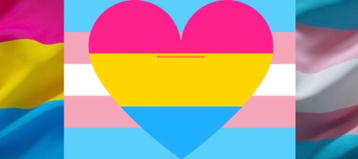 fanofsex-tapes banner