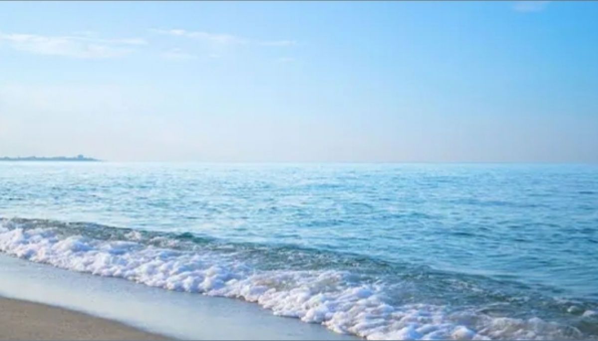 femalebodybuilder banner