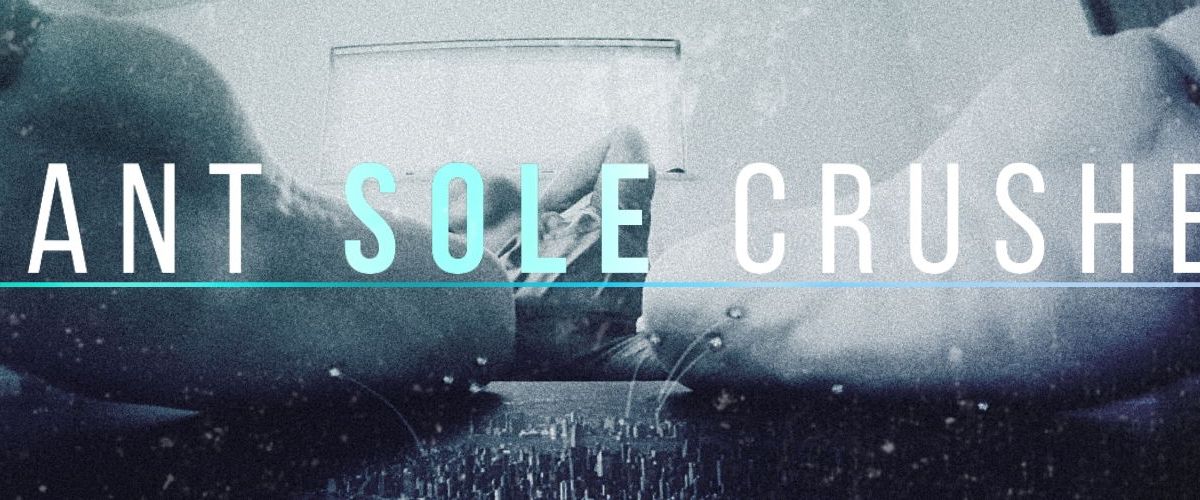 giantsolecrusher banner