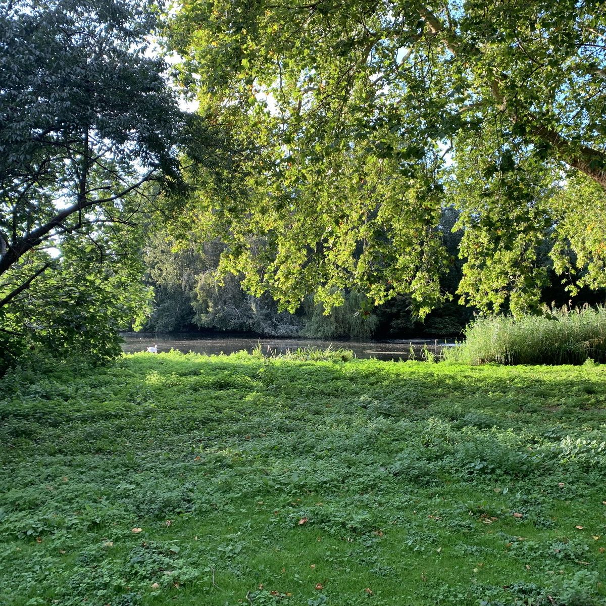 griffinbarrows banner