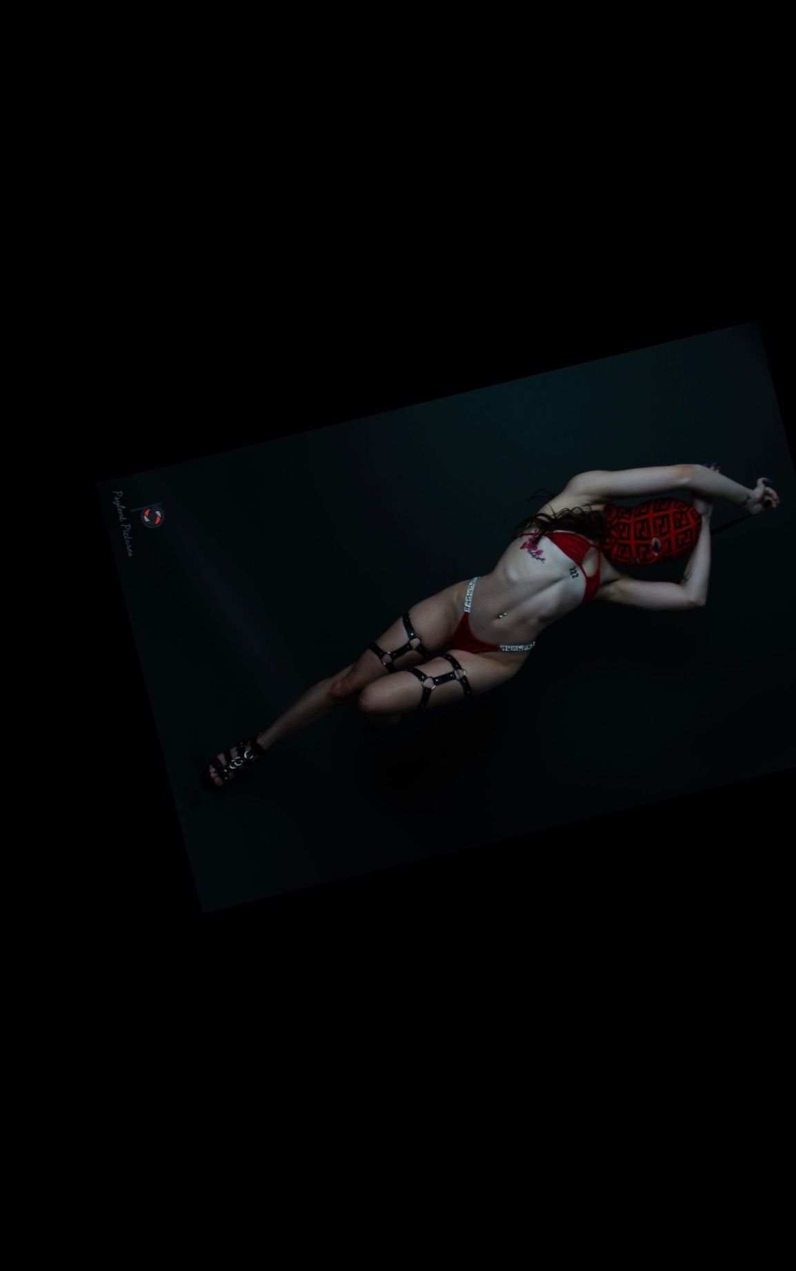 guesswhoitiss banner