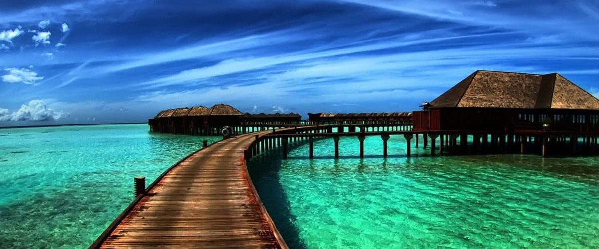 iamnikitaknight banner