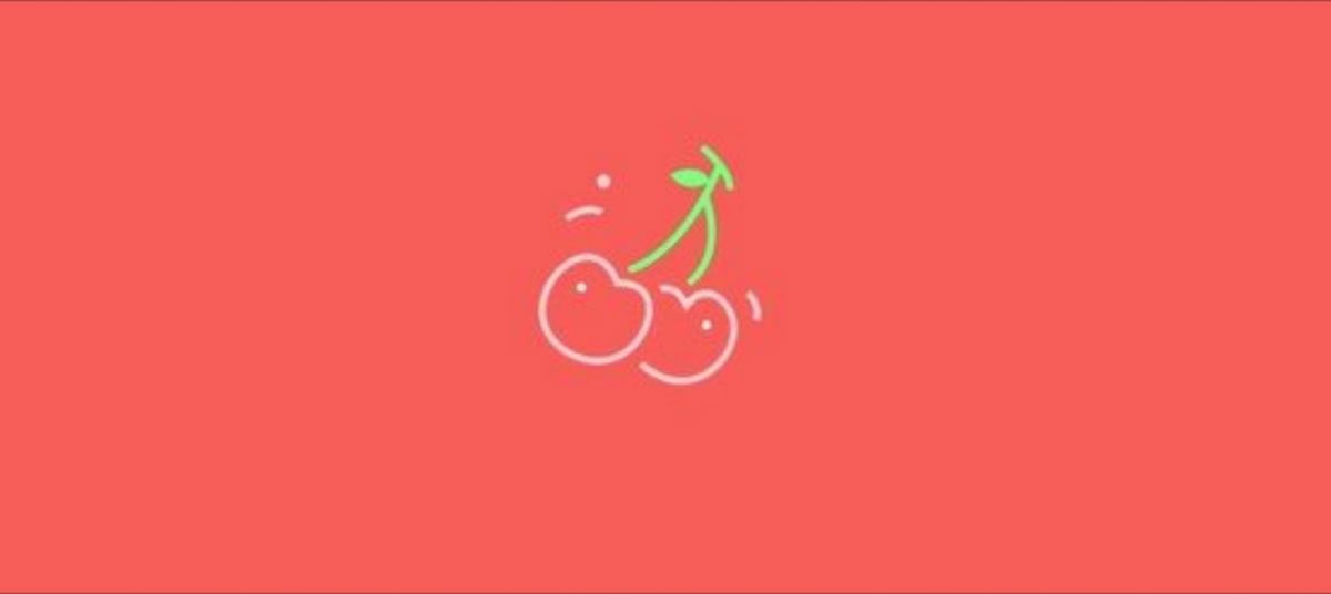 kittenplaynice banner