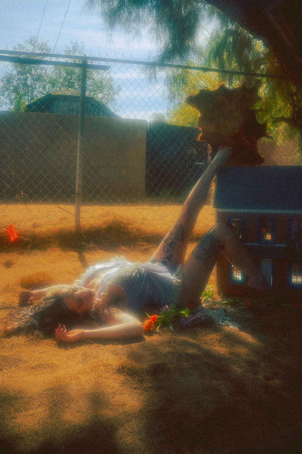 laa_petitemort banner