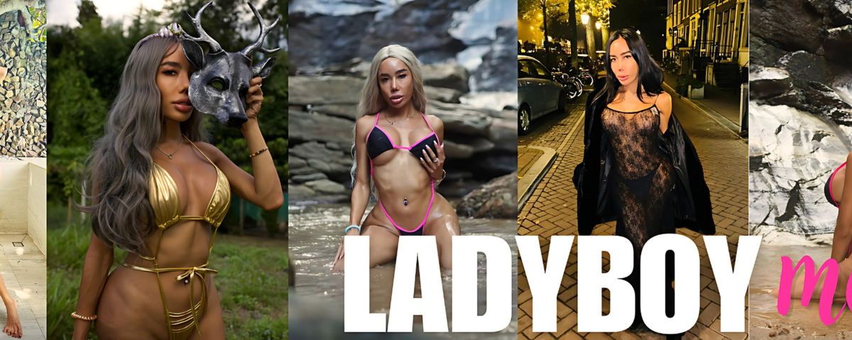 ladyboymos banner