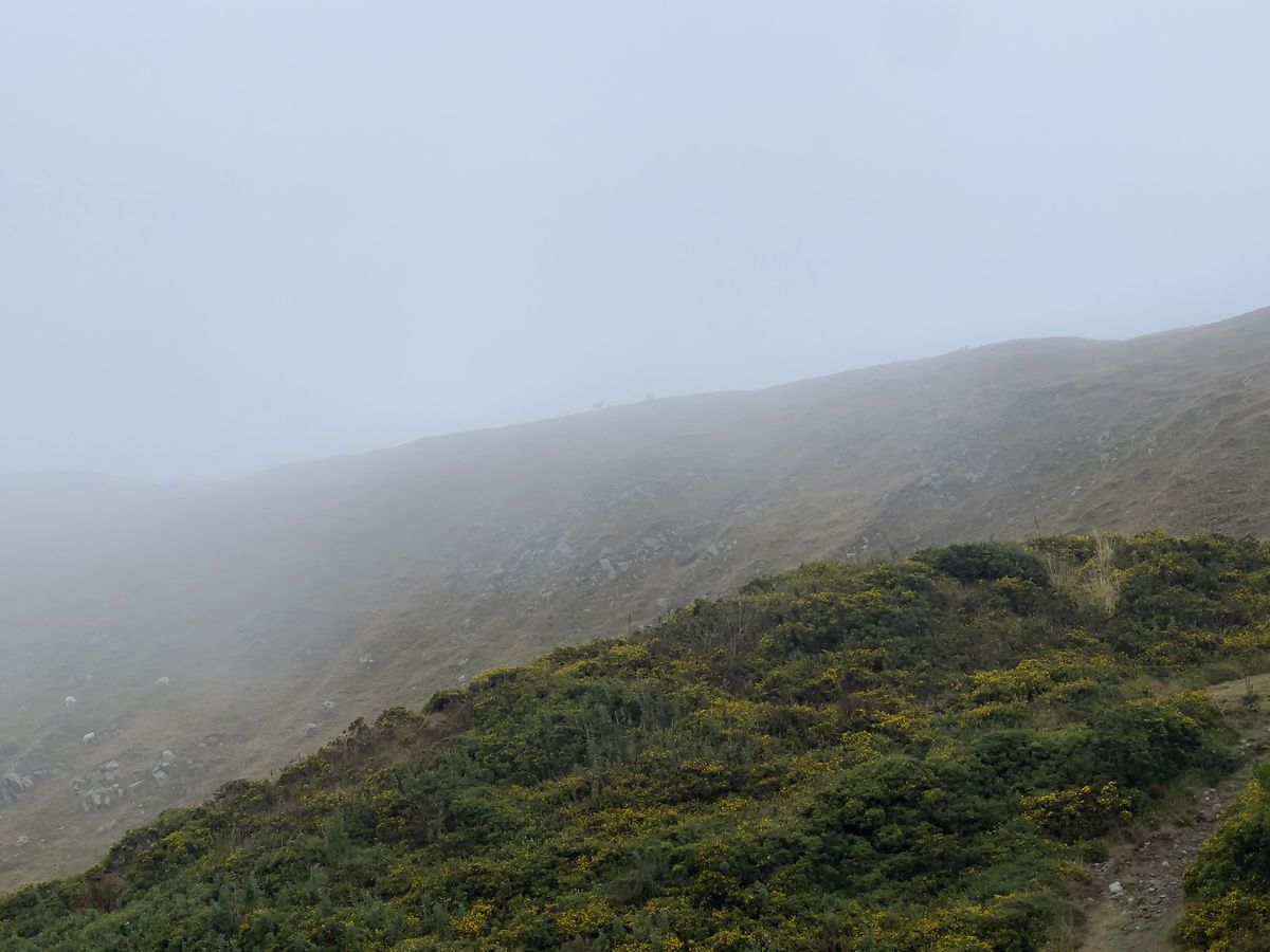 littleredchick.xxx banner