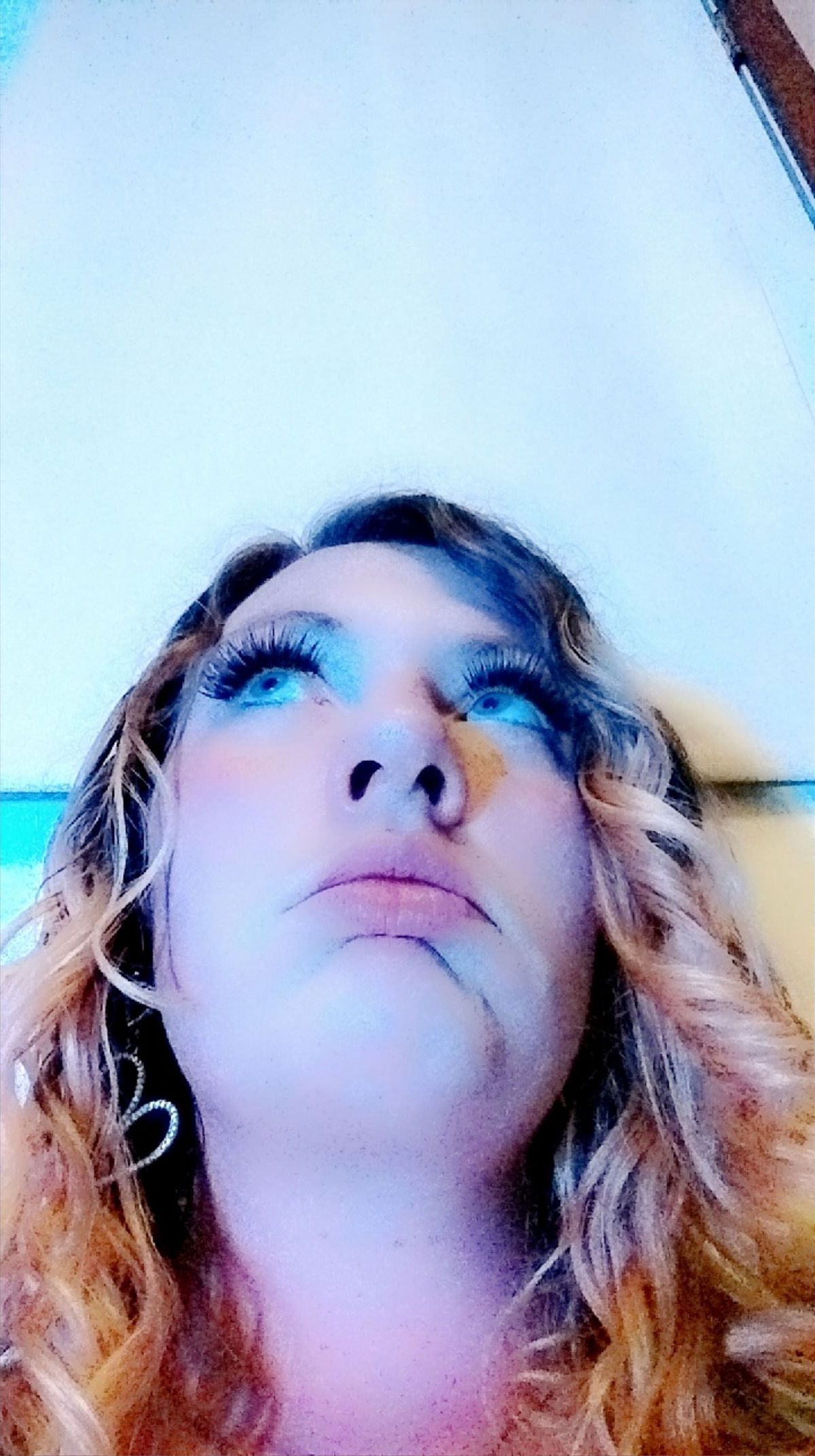 lovely_asylum banner