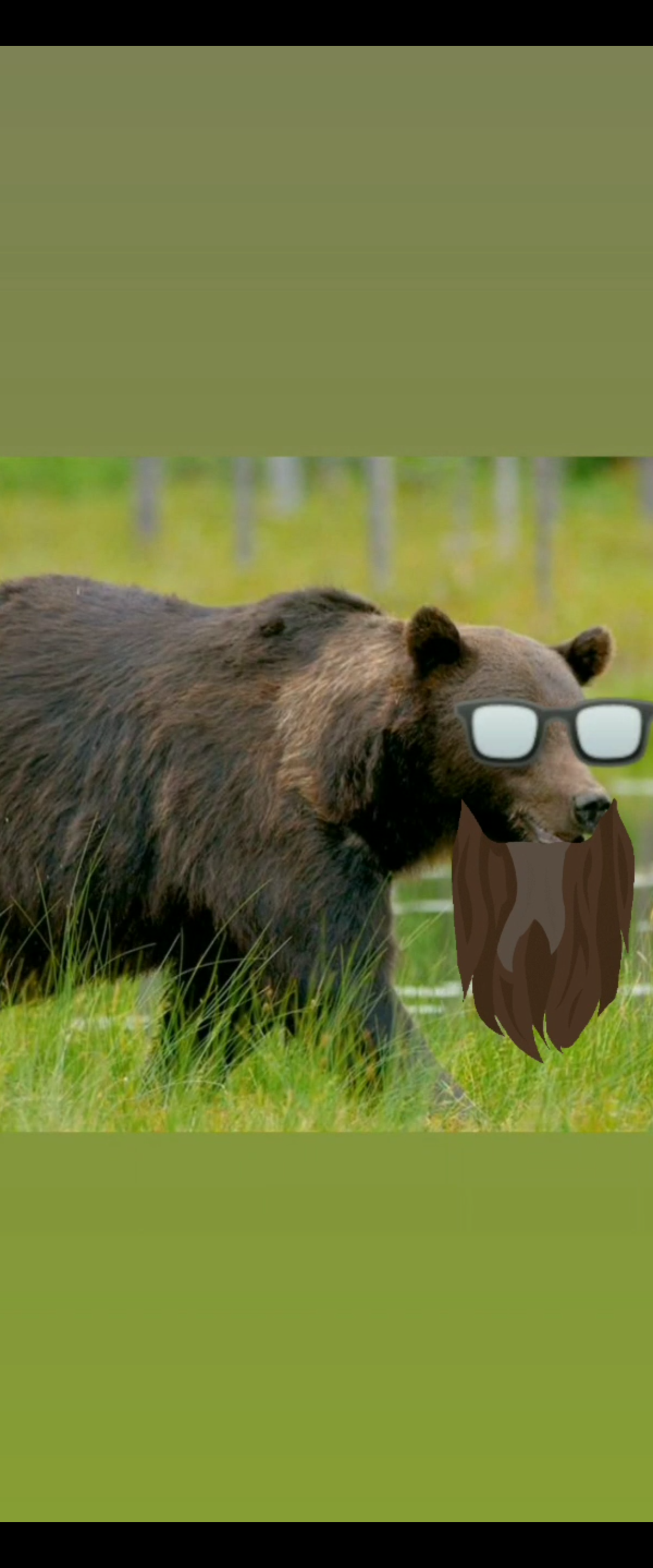 marksinclairofficial banner