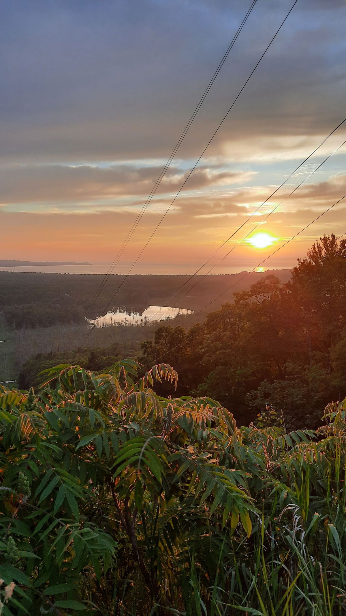 maryjanemorticia banner