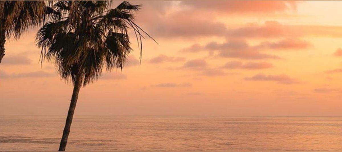 masteroliver10 banner