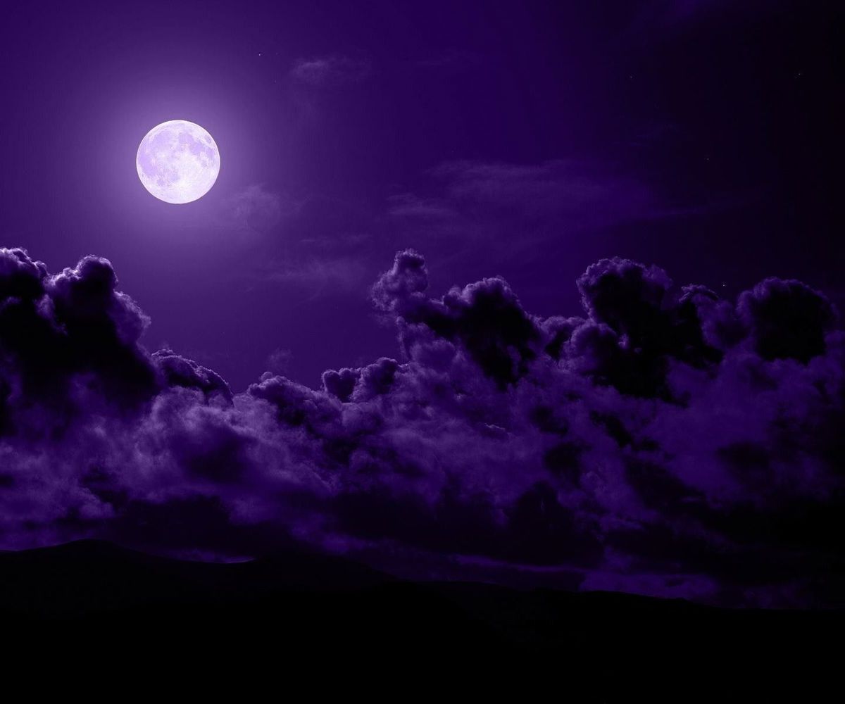 meissasvobodova banner