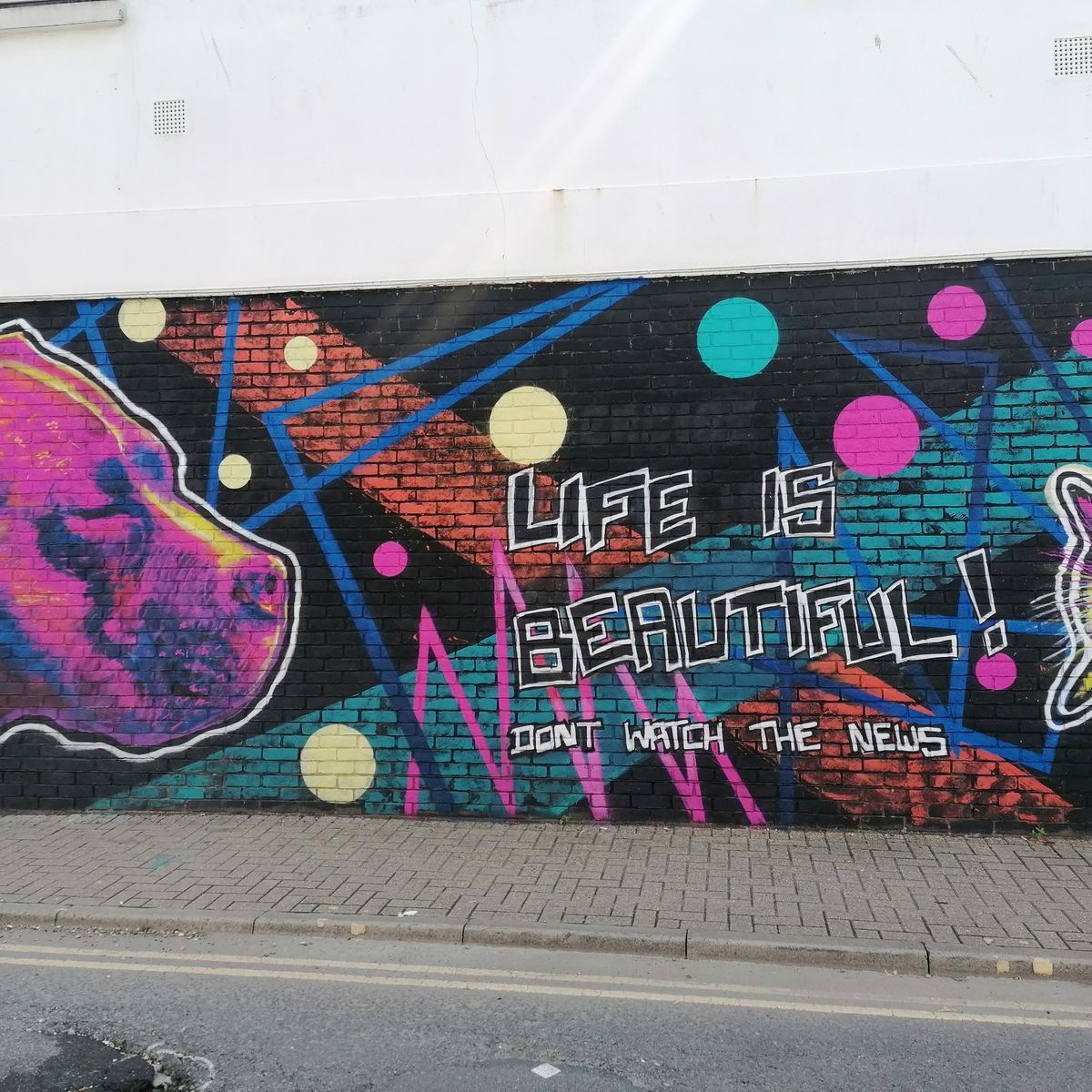 miss.hayl.stone banner