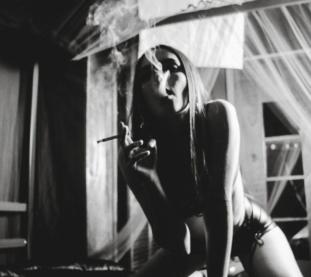 missaliceshadow banner